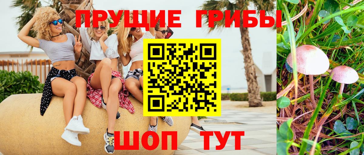 Искитим  Псилоцибиновые грибы GOLDEN TEACHER  Галлюциногенные грибы MAGIC MUSHROOMS  Вход с VPN 