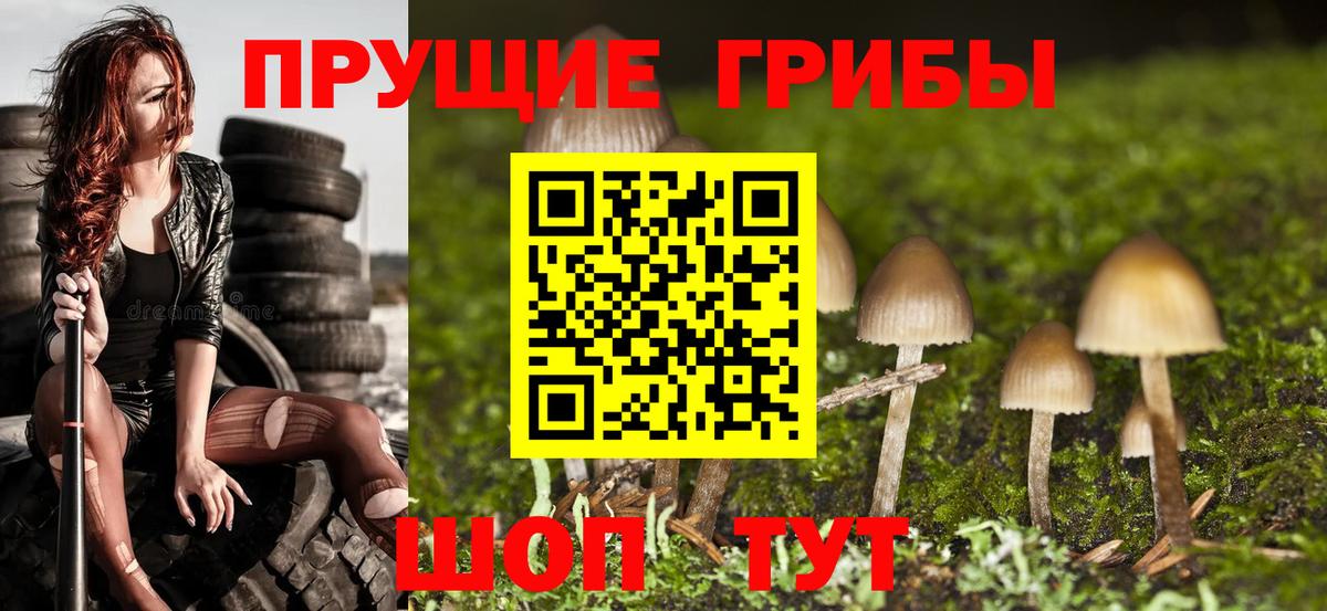 Галлюциногенные грибы прущие грибы Искитим
